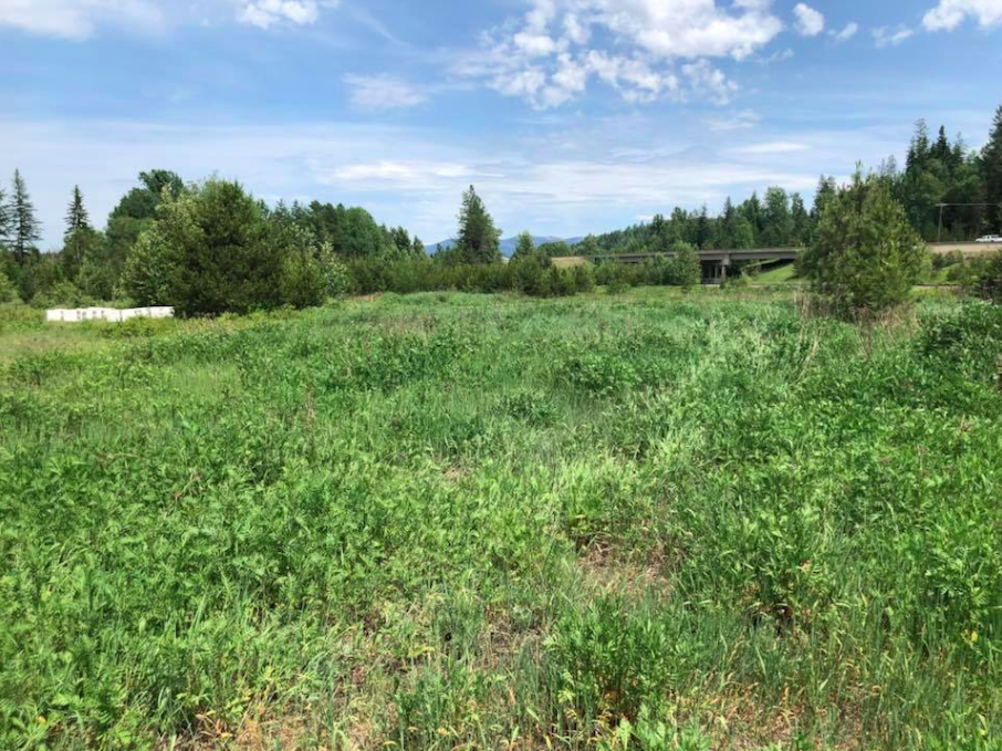 Pasture and noxious weed spraying treatment result on a rural Northwest property