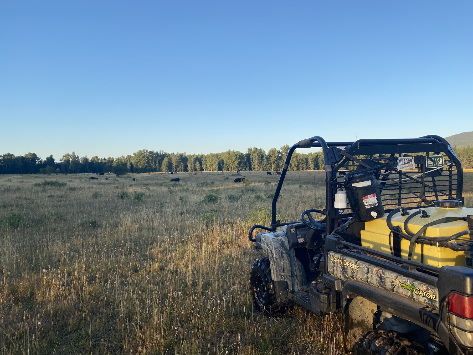 KC Pest and Weed spray rig set up beside a pasture with cattle in the distance