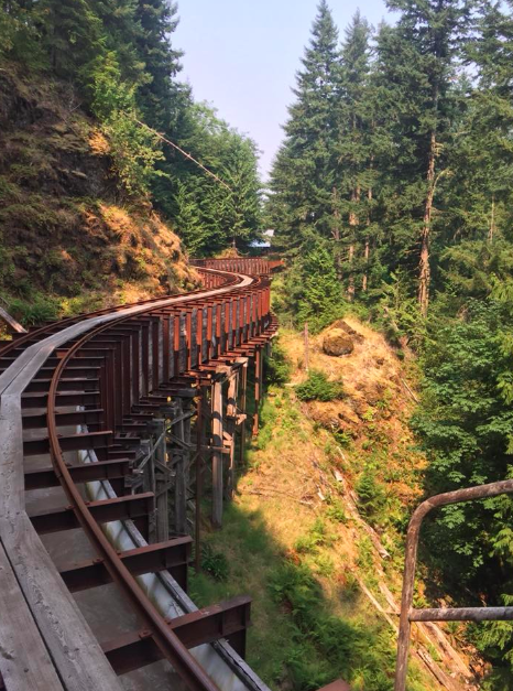 Steep remote hillside access area from the original KC Pest and Weed work gallery